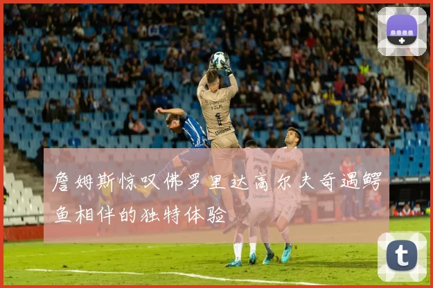 詹姆斯惊叹佛罗里达高尔夫奇遇鳄鱼相伴的独特体验